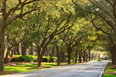Hilton Head Villa with daily golf, tennis & surf