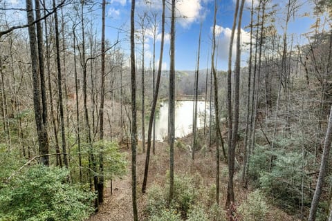 Lake view from the hot tub. Plenty of fish in the lake!