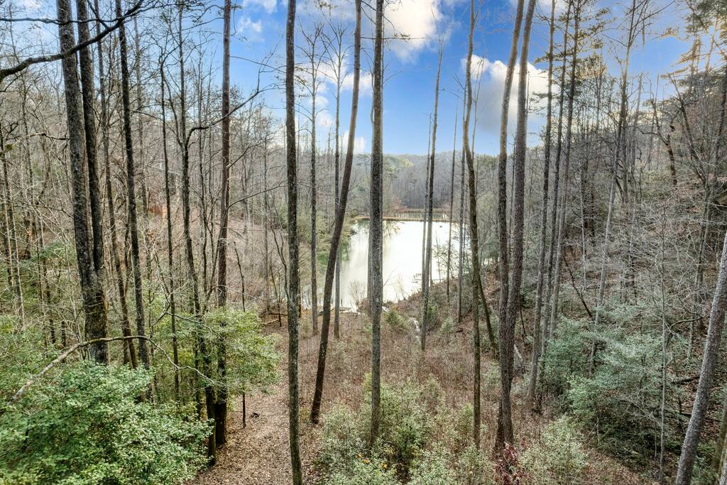 Lake view from the hot tub. Plenty of fish in the lake! - 70 Holly Hollow - Cherry Log - Cherry Log