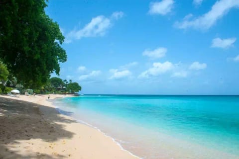 Waverly House  - Gibbs Beach