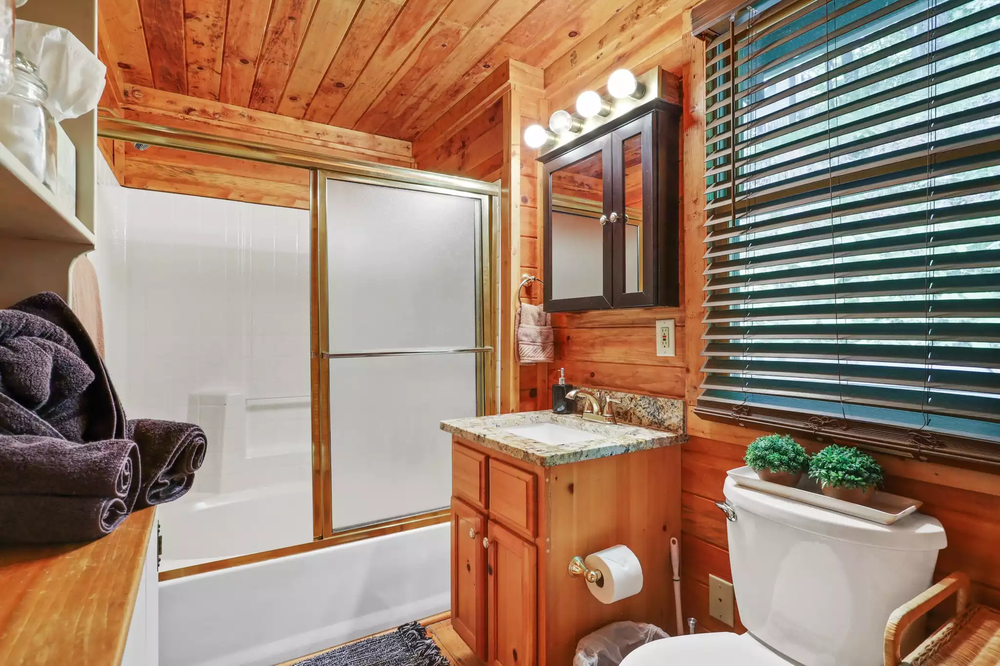 The Owl's Nest - Ellijay