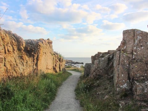 "Kuisma" - 300m from the sea