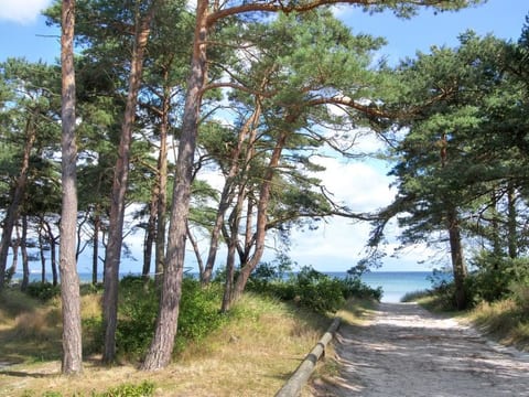 "Ellinor" - 300m from the sea