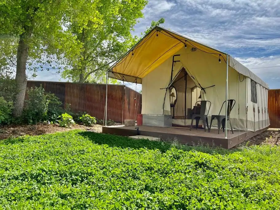 The cosmo tent gets great shade and is on a soft clover field. There are beautiful flower gardens all around.