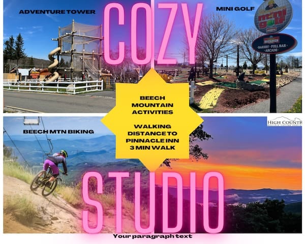 Cozy Mountain Top Ski Studio - Beech Mountain