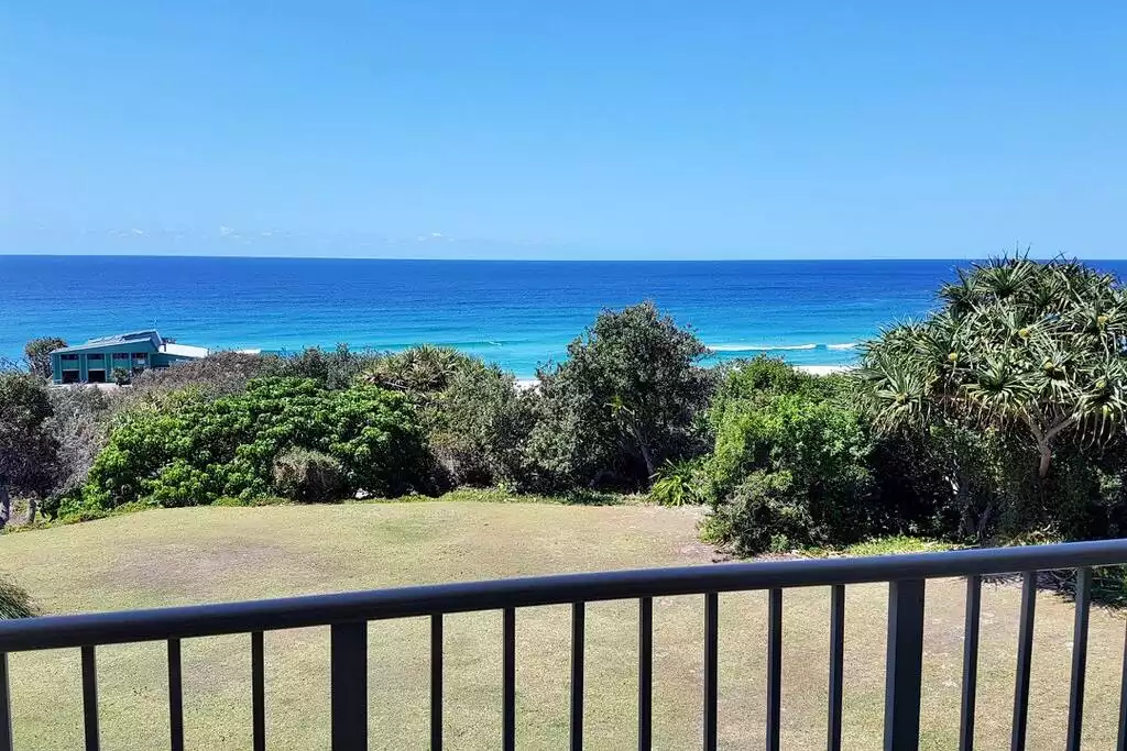 million-view-watch-whales-from-comfort-of-home/