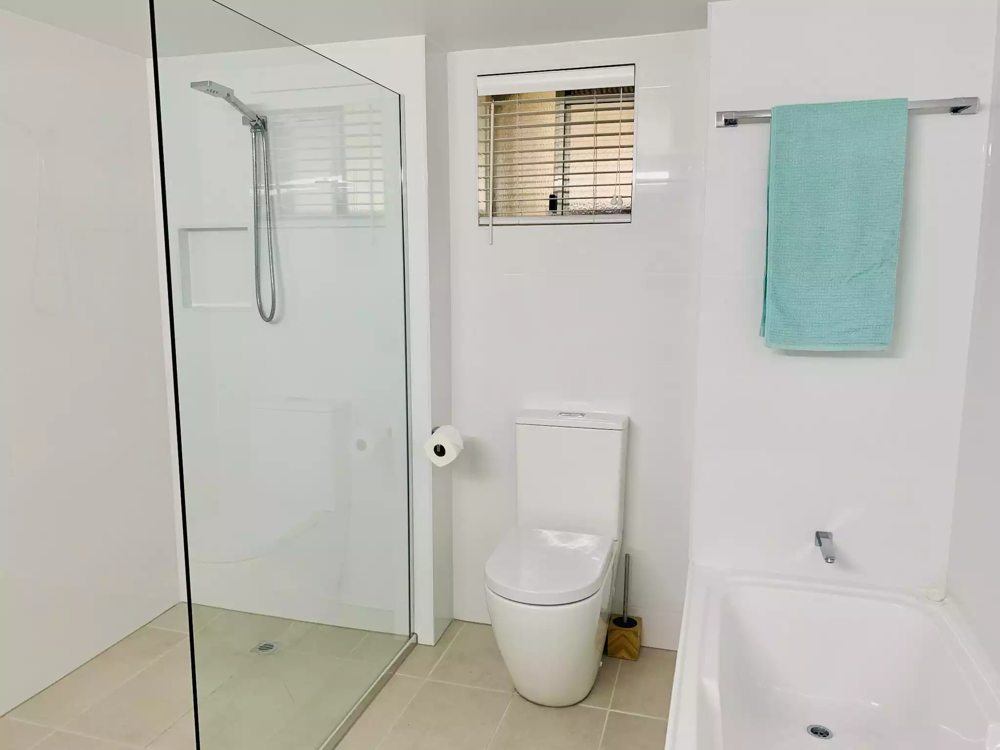 million-view-watch-whales-from-comfort-of-home/