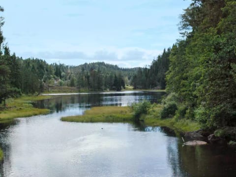 Øygårdsheia