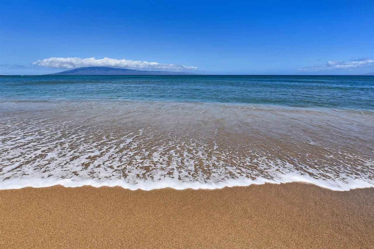 Ocean Views- Beachfront- Steps to a Sandy Beach! - Lahaina