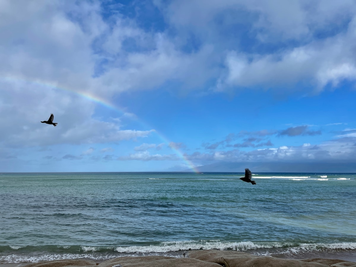 Ocean Views- Beachfront- Steps to a Sandy Beach! - Lahaina