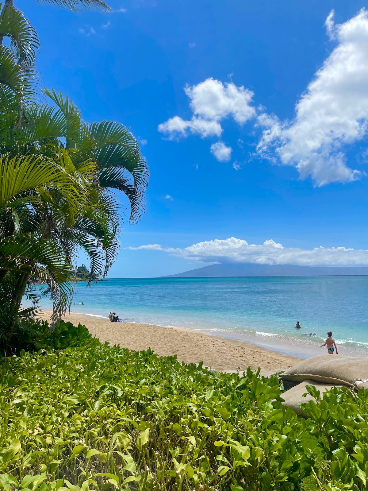 Ocean Views- Beachfront- Steps to a Sandy Beach!