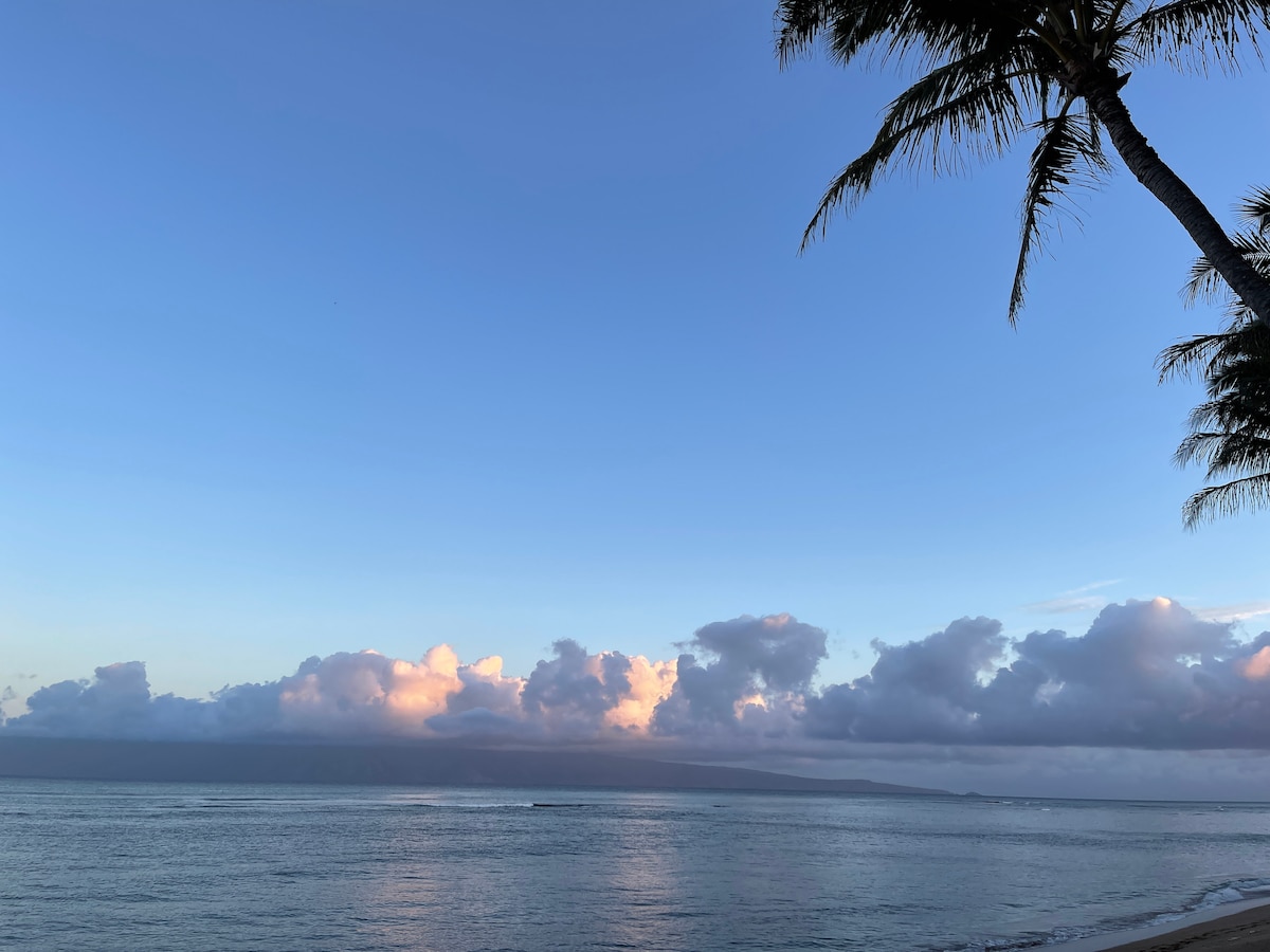 Ocean Views- Beachfront- Steps to a Sandy Beach! - Lahaina