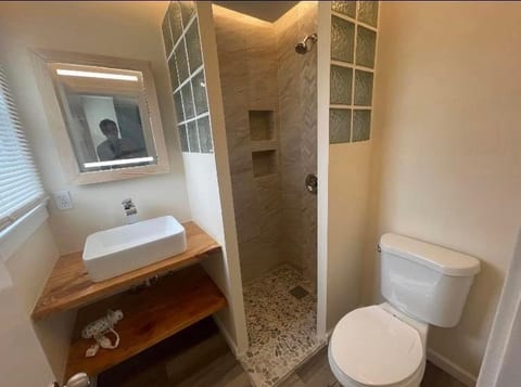 Brand new master bath 2024