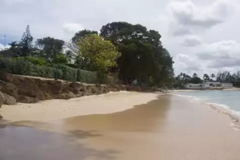 Thespina - Holetown