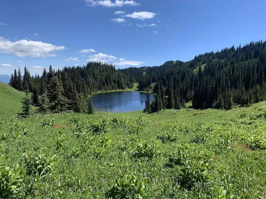 #7 Settler's Crossing Sun Peaks - Sun Peaks