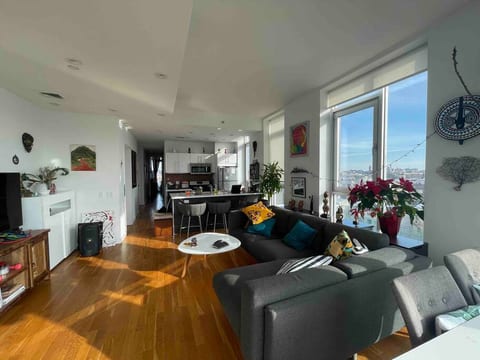 Living room and kitchen