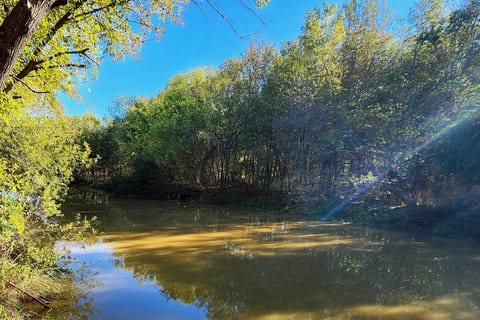 Enjoy the beautiful scenery and peaceful sounds of the river in our backyard. Take a stroll along the river bank or relax by the water's edge. Don't forget your fishing gear!