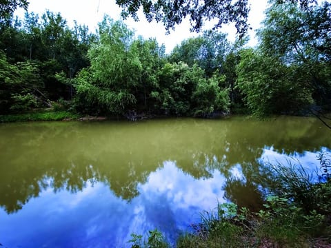 Enjoy the beautiful scenery and peaceful sounds of the river in our backyard. Take a stroll along the river bank or relax by the water's edge. Don't forget your fishing gear!
