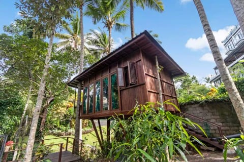 The Ubud Treehouse
