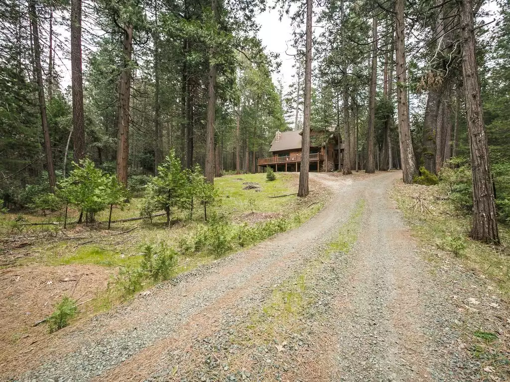 Peaceful seclusion on a private, five-acre forested site - Gold Creek Cabin - Volcano