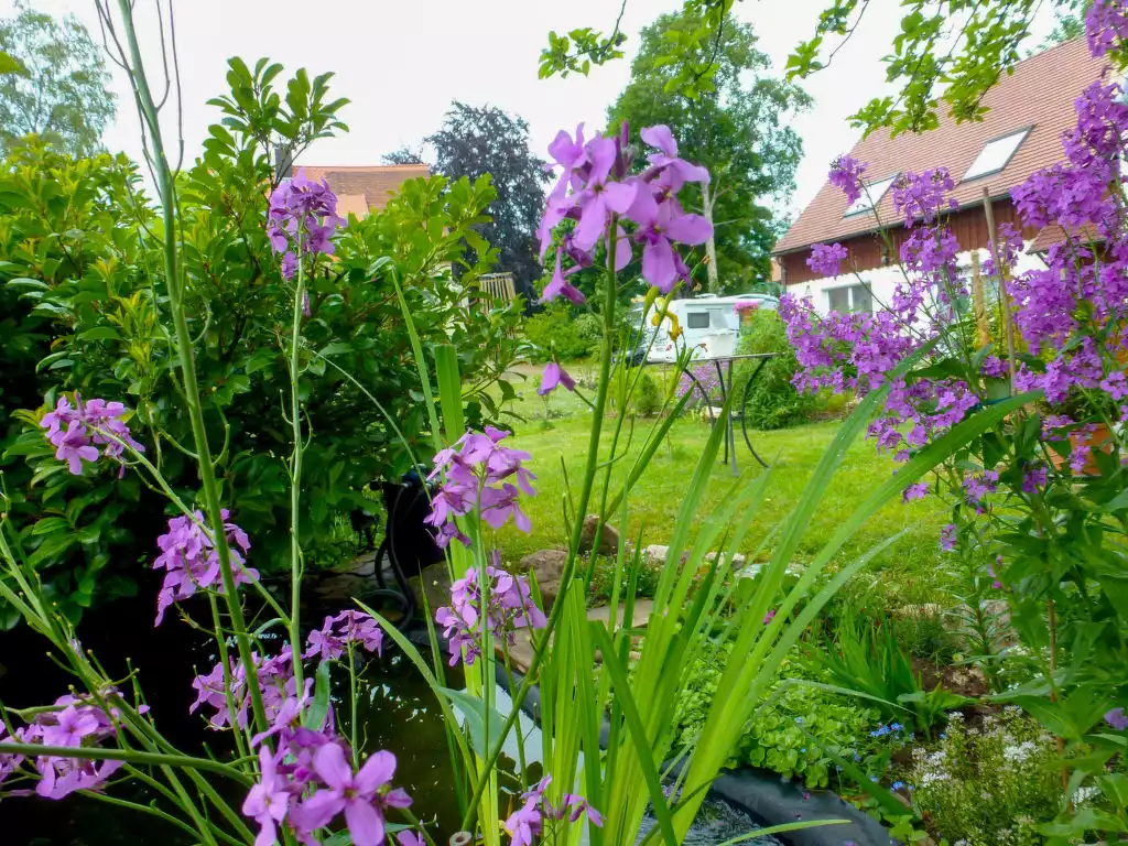 Schmetterlingsgarten - Hüfingen