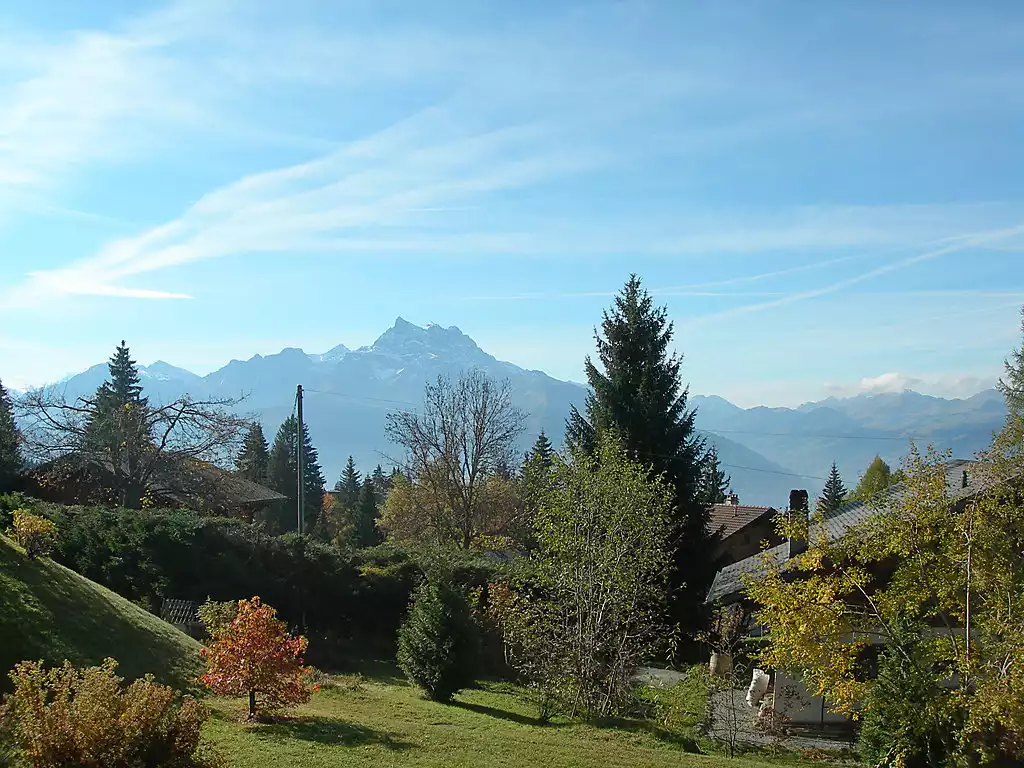 Chalet Petit Pont - Ollon