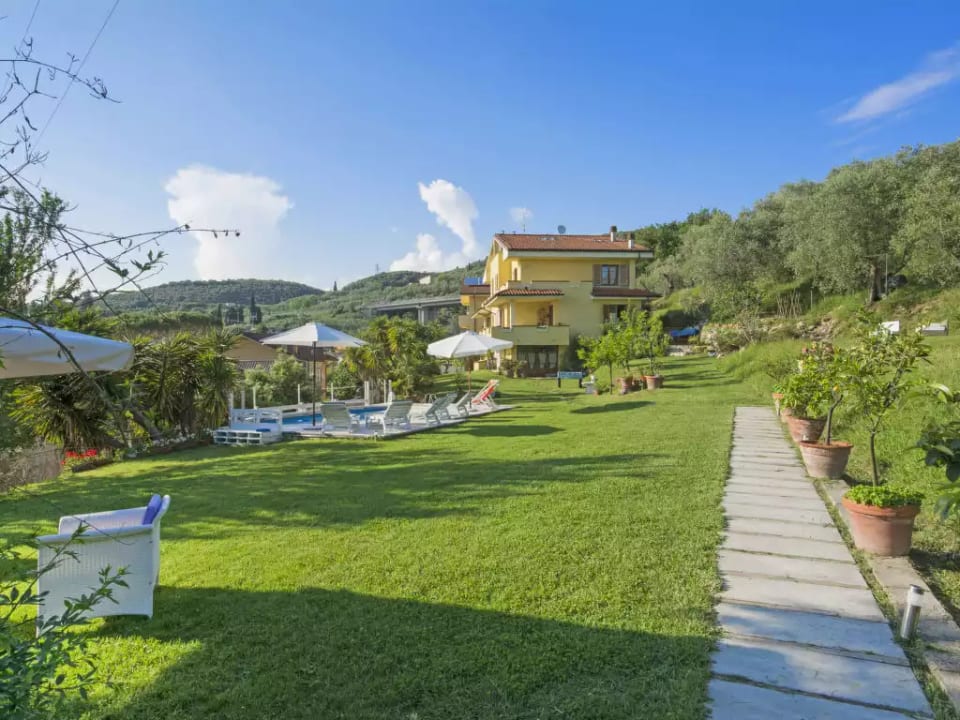 Olivo - Massarosa