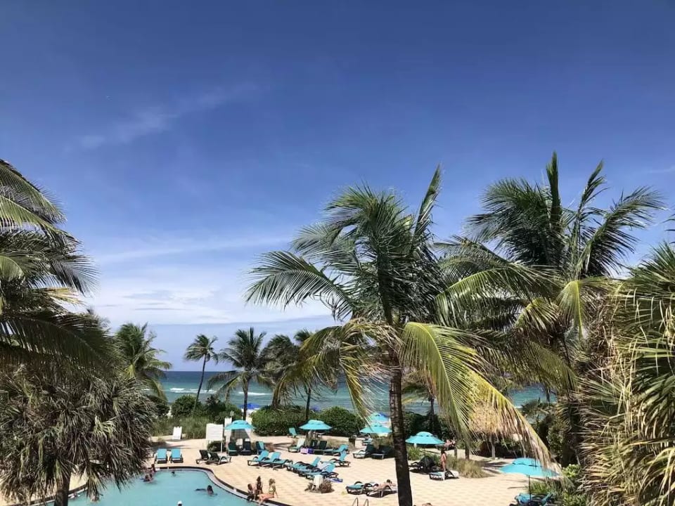 Beach apartment , Hollywood Beach , Miami. Area - Hollywood