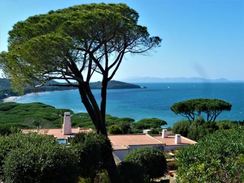 View