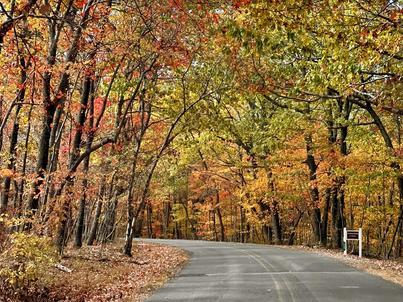 Entrance to Woodland Retreat at DeSoto…this photo was taken 10/24/23 :) - The Otter Box Cabin - Fort Payne