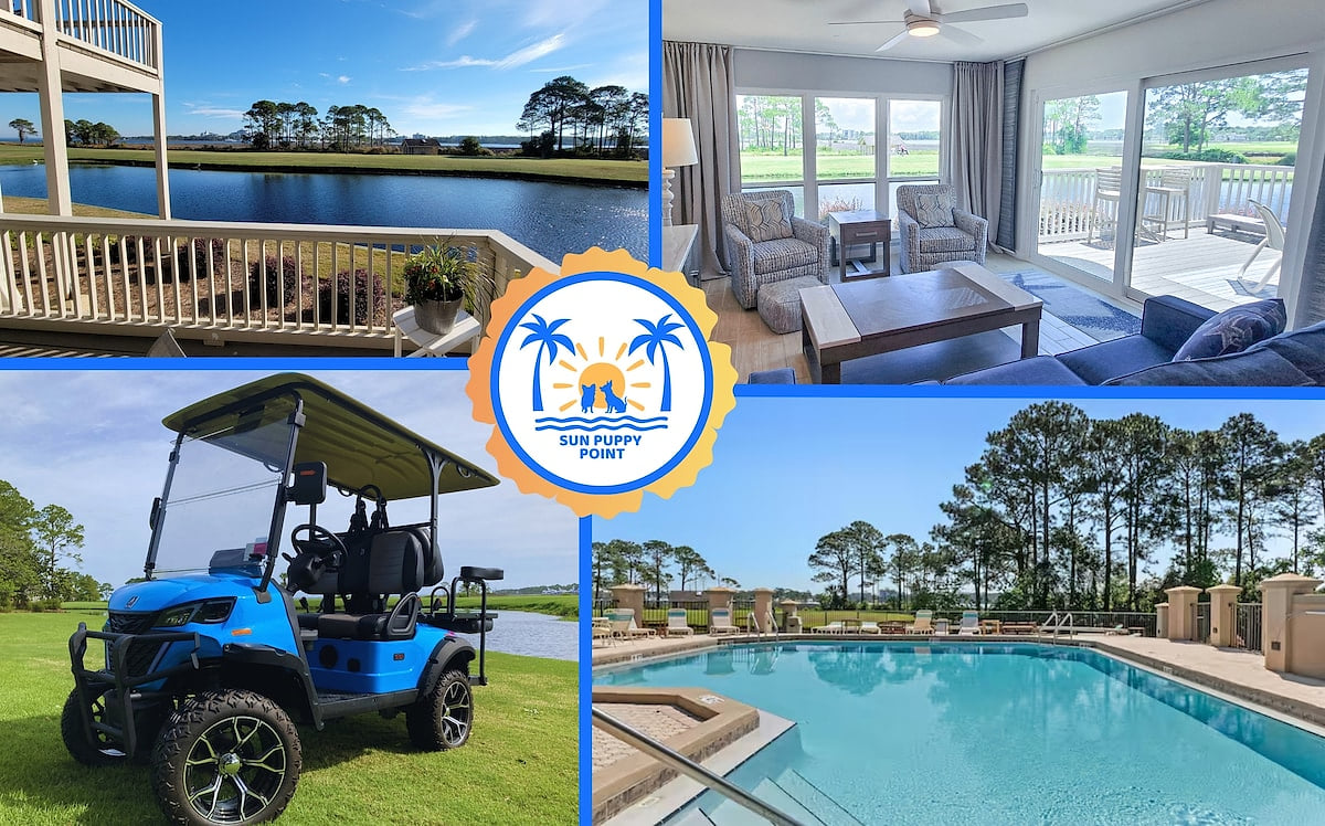 Additional photos image 1 Sun Puppy Point