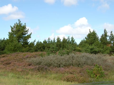 Outdoor