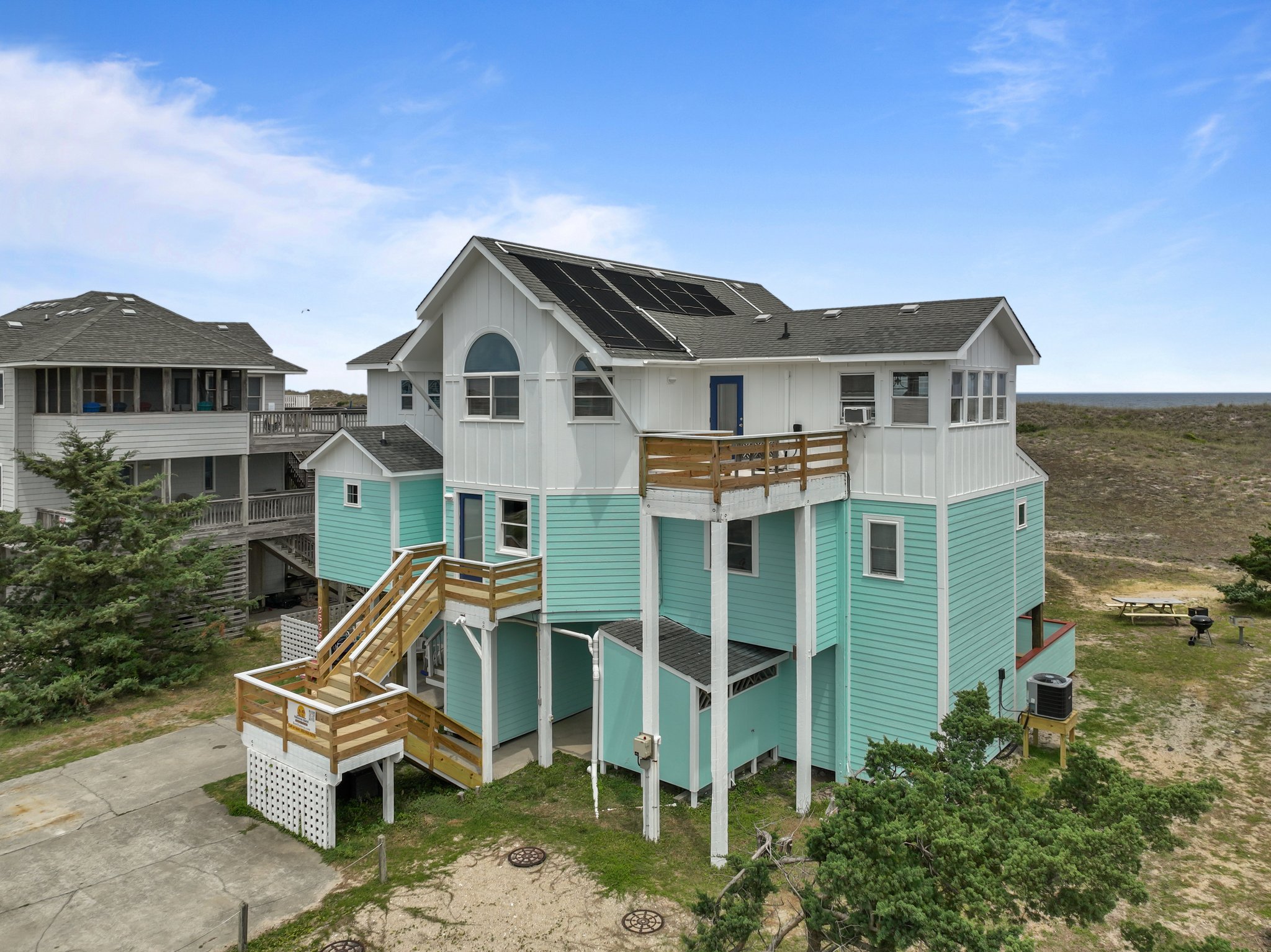 Looney Dunes