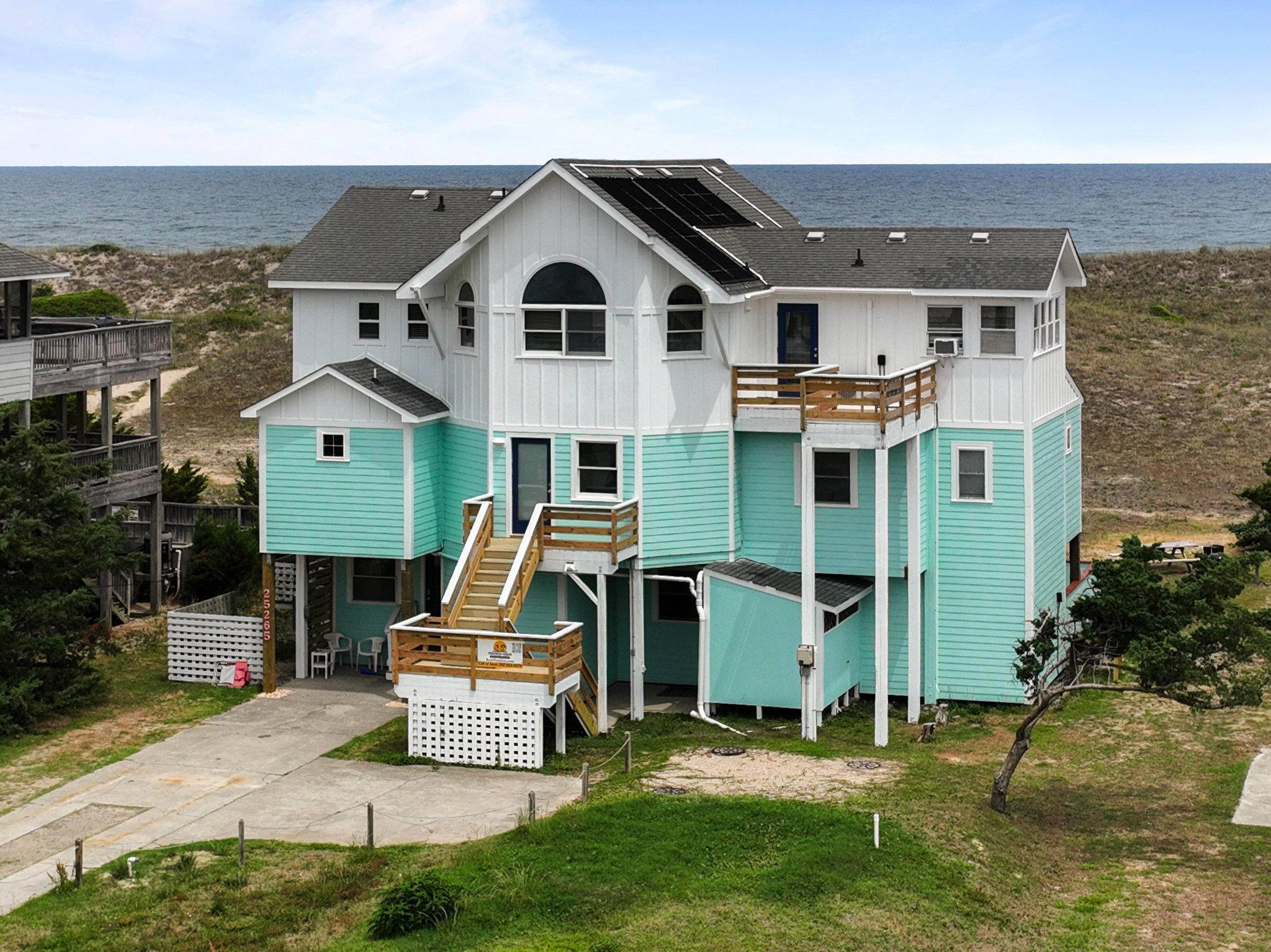 Looney Dunes
