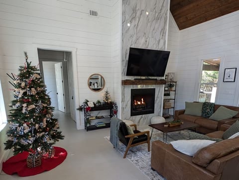 Merry Christmas & Happy Holidays
