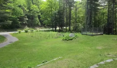 Front lawn