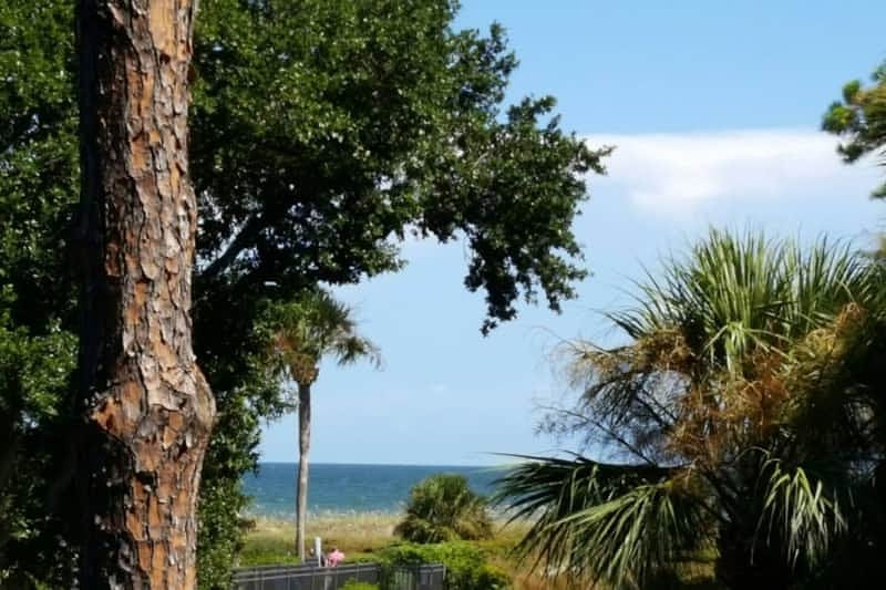 SHOREthing! Beachside retreat w/ Bikes, Chairs - Hilton Head Island