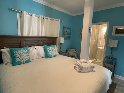 Beach Bliss 2 Bedroom Oceanview Free bikes/chairs!