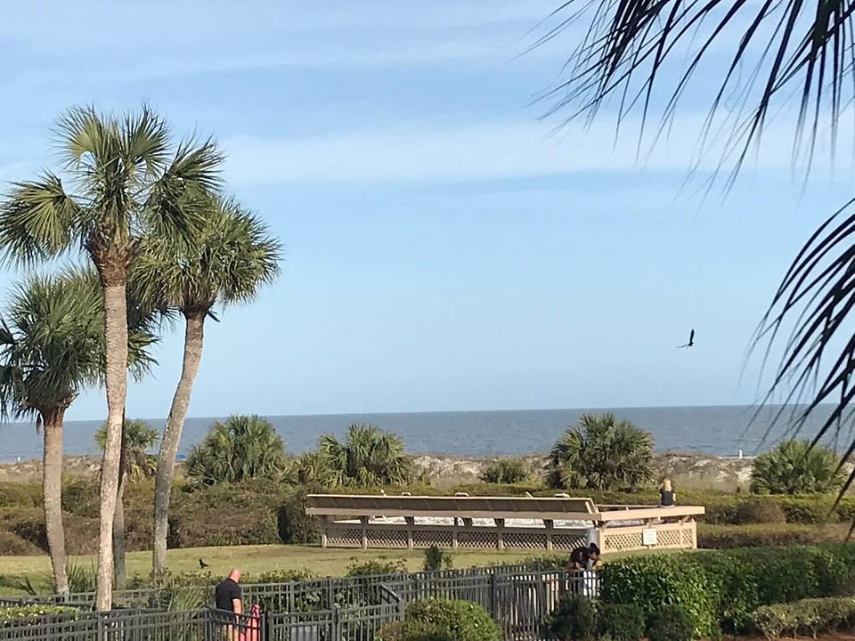 Stunning Oceanview Luxury Remodel, Bikes Included! - Hilton Head Island