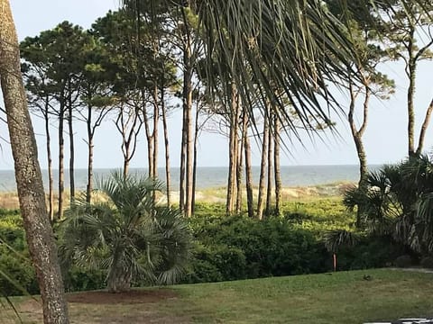 Barefoot Bungalow! Ocean View Couple’s Retreat