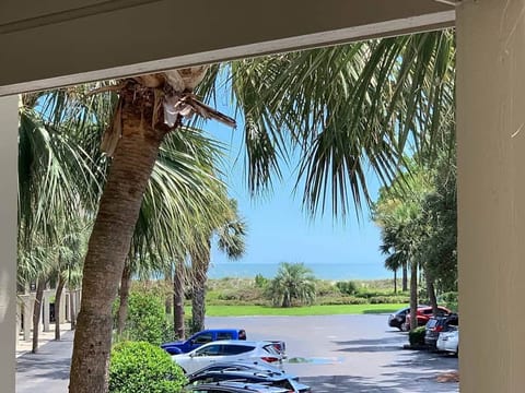 SeaClusion-Oceanview, Mini split AC, Beach Chairs