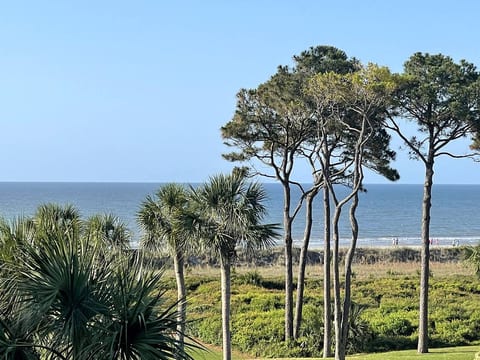 SeaGem-Oceanview! Last min disc! Many Upgrades New Reno