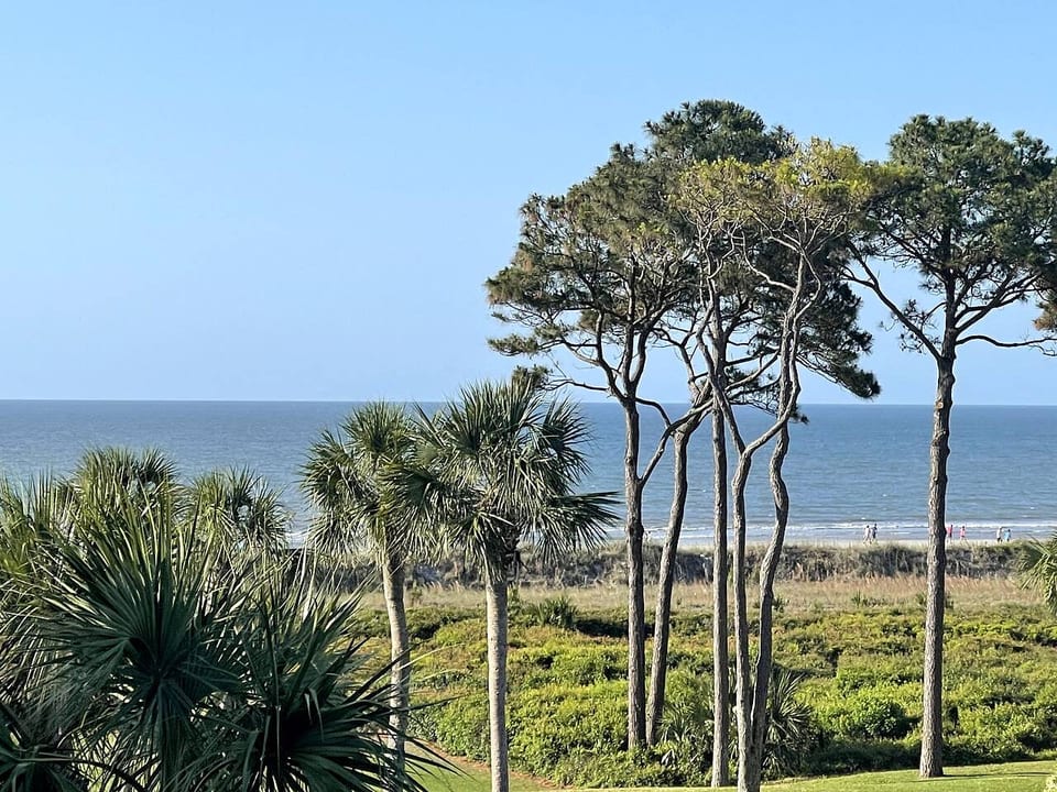 SeaGem-Oceanview! Last min disc! Many Upgrades New Reno - Hilton Head Island