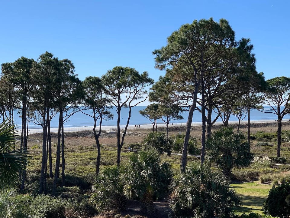 Gone Coastal! 2 from oceanfront! Central air! - Hilton Head Island