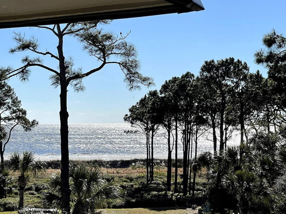SeaRenity! Beautiful Reno! King bed! w/Bikes - Hilton Head Island