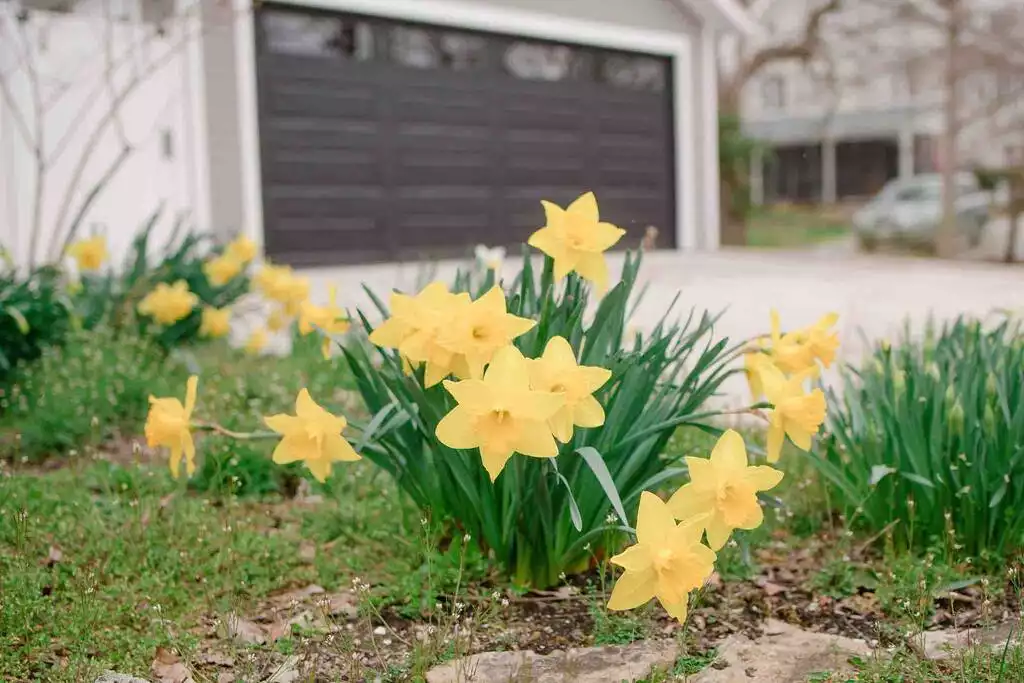 The Wildflower House - Yellow Springs