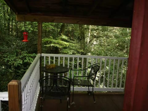 View from rear deck, the stream is directly below.