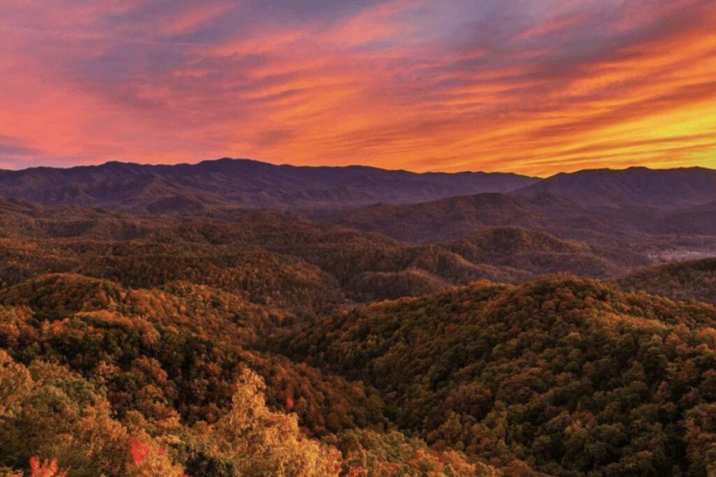 Our cabin is just a 10-minute drive from Foothills Parkway, which offers stunning fall foliage views that are perfect for capturing Instagram-worthy photos.