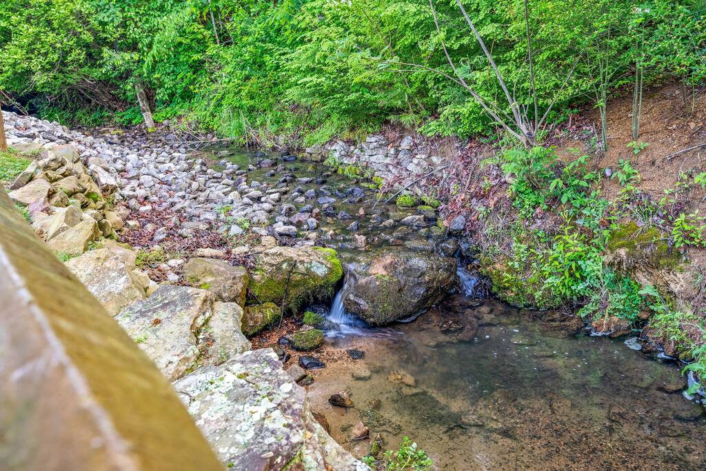 Fresh spring running water right next to the cabin.  Our guests' favorite features at the cabin. You can hear the relaxing water sound sitting in the hot tub. 