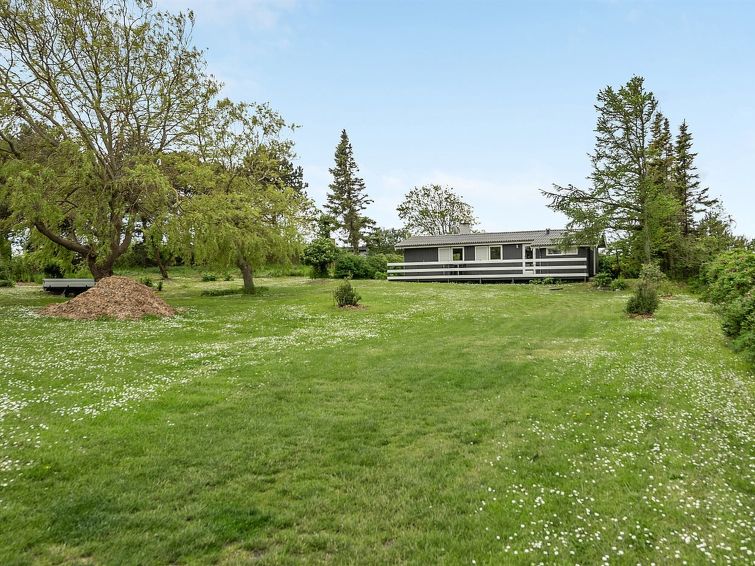 jenny-140m-from-the-sea/